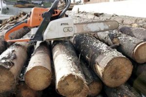 Dosar penal pentru furtul a circa 9 mc de buşteni din „Vermet”