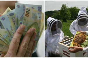 Apicultorii sibieni, despăgubiţi pentru pierderile din primăvara lui 2019