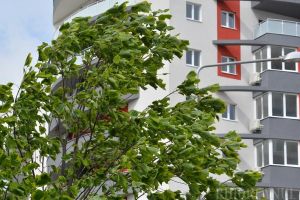 Cod galben de vânt şi descărcări electrice în mai multe localităţi din Bihor