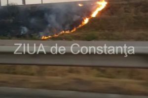 Incendiu de vegetatie uscata pe A2