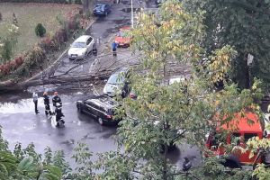 Doi copaci, doborâţi de vânt peste maşini, în Oradea
