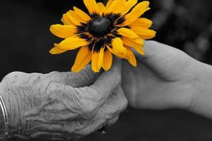 1 octombrie: Ziua Internaţională a Persoanelor Vârstnice. La mulţi ani, tuturor vârstnicilor!