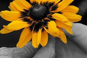 Ziua persoanelor vârstnice