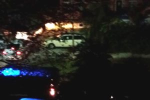 TEROARE într-un cartier arădean! Se întâmplă ÎN FIECARE NOAPTE, iar aseară a fost GRAV DE TOT