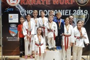 Rezultate remarcabile pentru karateka de la CS Zanshin Satu Mare, la Cupa României de Karate WUKF