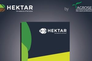AGROSEL schimbă numele gamei de produse profesionale, hibrizi, în “HEKTAR the essence of the future”