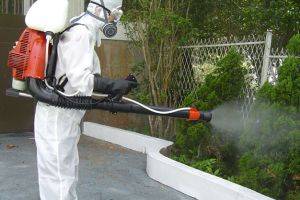 Câte un strop, strop, strop, până vine iar la loc…