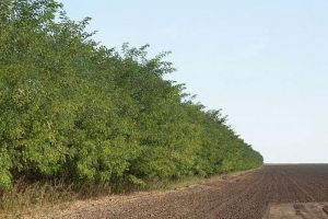 Anunţ important pentru toţi deţinătorii de terenuri din Sibiu