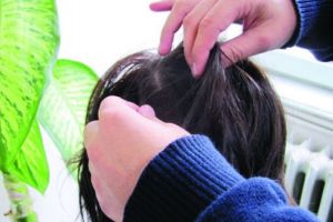 Păduchii, prezenţi şi anul acesta în şcolile botoşănene. Zeci de elevi depistaţi cu pediculoză la început de an şcolar