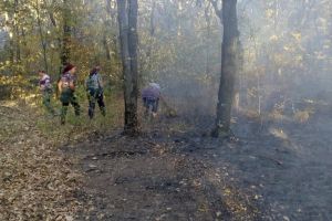 Incendiu de vegetaţie uscată la Croitori