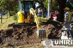 FOTO|VIDEO. ȘTIREA TA. Administraţia locală din Alba Iulia a început lucrările de deviere a unei alei, pentru protejarea unui copac, în zona Colegiului Economic