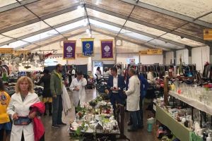 La Târgul de Purici s-au strâns circa 70.000 de lei. Banii vor fi folosiţi pentru acţiuni caritabile