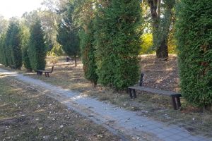 TÂRGOVIȘTE: Dezolant – Cum arată după 10 ani, un parc în care s-au băgat 10 miliarde de lei vechi (VIDEO)