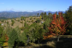 Spectacol de culori în Munţii Bârgăului şi de pe Drumul ”Poarta Transilvaniei”