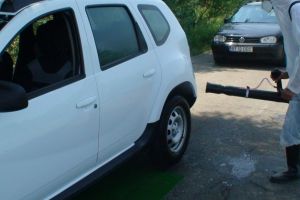 Ce soluţie a ales primarul unei comune din judeţul Botoşani pentru a lupta împotriva pestei porcine. „Pentru săteanul nostru ar fi dezastru“