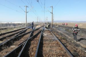 Traficul feroviar, blocat o oră din cauza unui cal