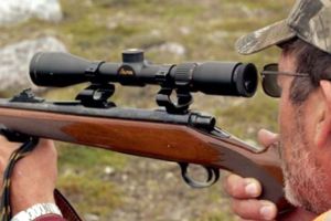 O armă cu aer comprimat, ridicată de la un cetăţean italian, se aflată de 9 ani în camera de corpuri delicte a IPJ Alba. Ce a decis instanţa de judecată