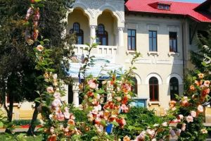 Trofeu aniversar si  Steagul Verde la paisprezece ani  impliniti de Proiect ECOSCOALA pentru Colegiul National Pedagogic Constantin Bratescu  