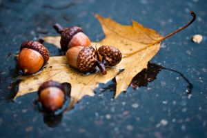 Vremea se răceşte considerabil de joi. Informare meteorologică