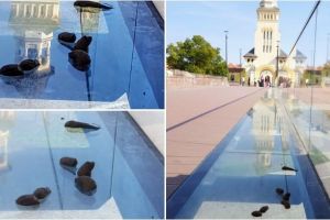 FOTO. Excremente de câini pe mirobolantul pod de sticlă din Cetatea Alba Carolina. Proprietarul şi-a uitat acasă ”mătura şi făraşul”