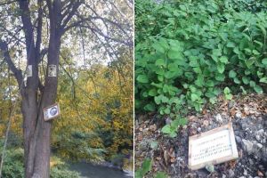 FOTO. ȘTIREA TA. Punctul de informare turistică Șipote, din comuna Sălciua, vandalizat de hoţi