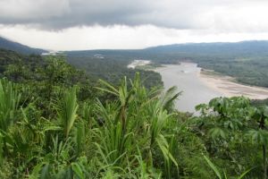 Cum arăta pădurea amazoniană în urmă cu 150 de ani. Fotografii rare, scoase la licitaţie