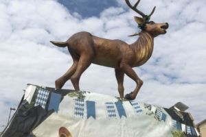 Începe Oktoberfest la Piteşti!