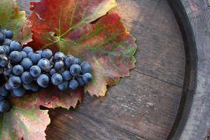 Este culesul viilor, atenţie la monoxidul de carbon acumulat în spaţiile unde mustul este pus la fermentat!