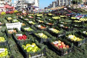 Târgul Mărului şi Festivalul Fanfarelor, la Fălticeni