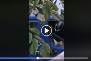 Imagini ȘOCANTE în Arad: Tânăr filmat cum se MASTURBEAZĂ în maşină (VIDEO)