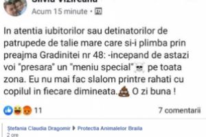 Socant! El este braileanul care a amenintat ca va otravi toti cainii din zona gradinitei nr. 48, atentand totodata si la siguranta cetatenilor