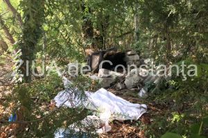 IPJ Constanta, despre persoana gasita decedata, in zona Delfinariu