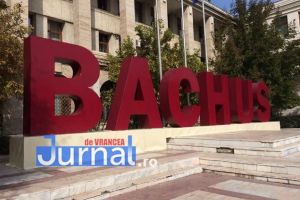 Ion Ștefan, atac la Bachus-ul lui Oprişan: “s-a întors muşamaua”