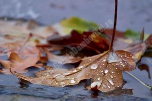 Vreme rece cu temperaturi ce nu depăşesc 16 grade Celsius