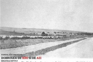 #DobrogeaDigitala Marturii de epoca privind istoria Dobrogei (1878-1947)“:  Un dobrogean se plange de discriminare - Sa ni se dea aceleasi legi, caci aceleasi aspiratiuni le avem“