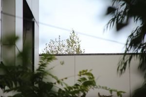 Colţul ruşinii – Aleşii lasă natura să rezolve problema Palatului Administraţiei