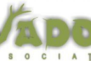 Premiile concursului internaţional „Transnatura”, decernate astăzi, la Sfântu Gheorghe