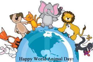 Ziua Mondială a Animalelor, sărbătorită astăzi, la Grădina Zoologică Braşov