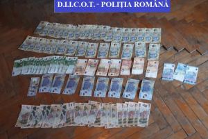 VIDEO. Descinderi la producătorii de cannabis ce alimentează cu droguri studenţii din Cluj