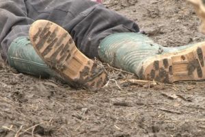 Tragedie! Un bărbat din Botoşani a murit după ce a căzut dintr-un copac