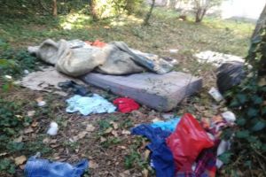 Abateri de la normele legale, constatate ieri de Politia Locala Constanta (galerie foto)