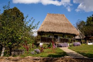 Obiectele de patrimoniu ale Muzeului ASTRA restaurate de voluntari