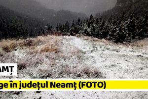 NEAMȚ: A venit ninsoarea în judeţul Neamţ (FOTO)