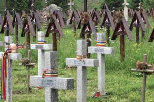 Vizita experţilor din România şi Ungaria în cimitirul militar Valea Uzului a fost amânată