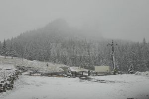 Prima ninsoare de sezon de pe Rarău