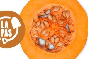 La Pas, primul festival de gastronomie artizanală din Timişoara. Delicii şi concerte în Parcul Rozelor