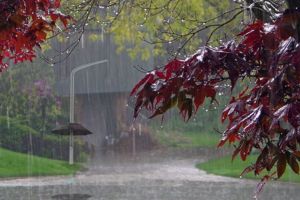 Vreme rece în toată ţara – Când se opresc ploile