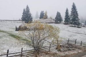 VIDEO Prima ninsoare din această toamnă – S-a depus un strat de zăpadă