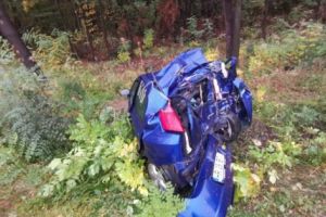 Cel bucureştean a ucis şi pasagera, şi câinele