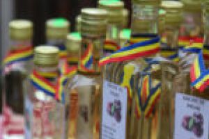 FOTO. Formulă magică la Bozovici! Un pahar de răchie plus muzică bănăţeană = voie bună²